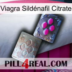 Viagra Sildénafil Citrate 38